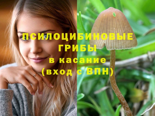 стаф Переславль-Залесский