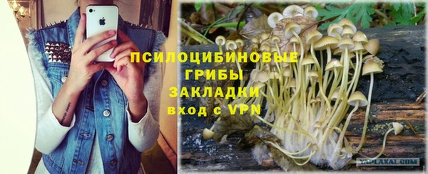 стаф Переславль-Залесский