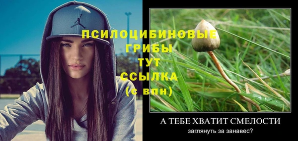 MDMA Пересвет