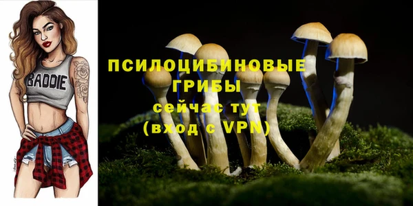 Альфа ПВП Абинск