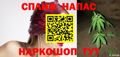 apvp Рузаевка