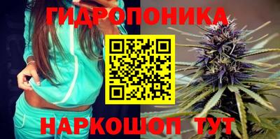 apvp Рузаевка