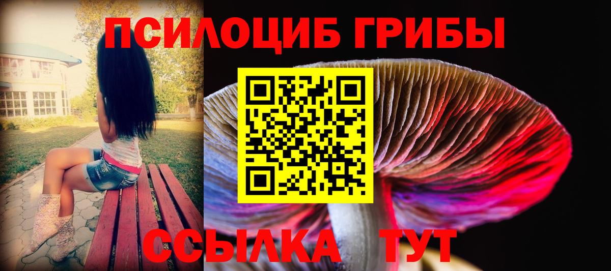Псилоцибиновые грибы прущие грибы Шарыпово